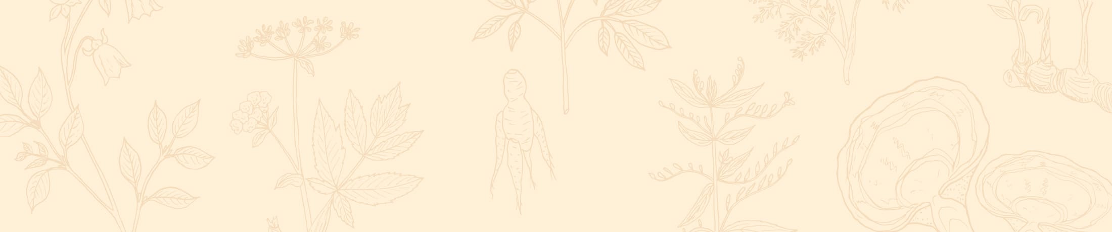 漢方柄のキービジュアル