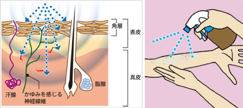 スプレーでローションを流布する